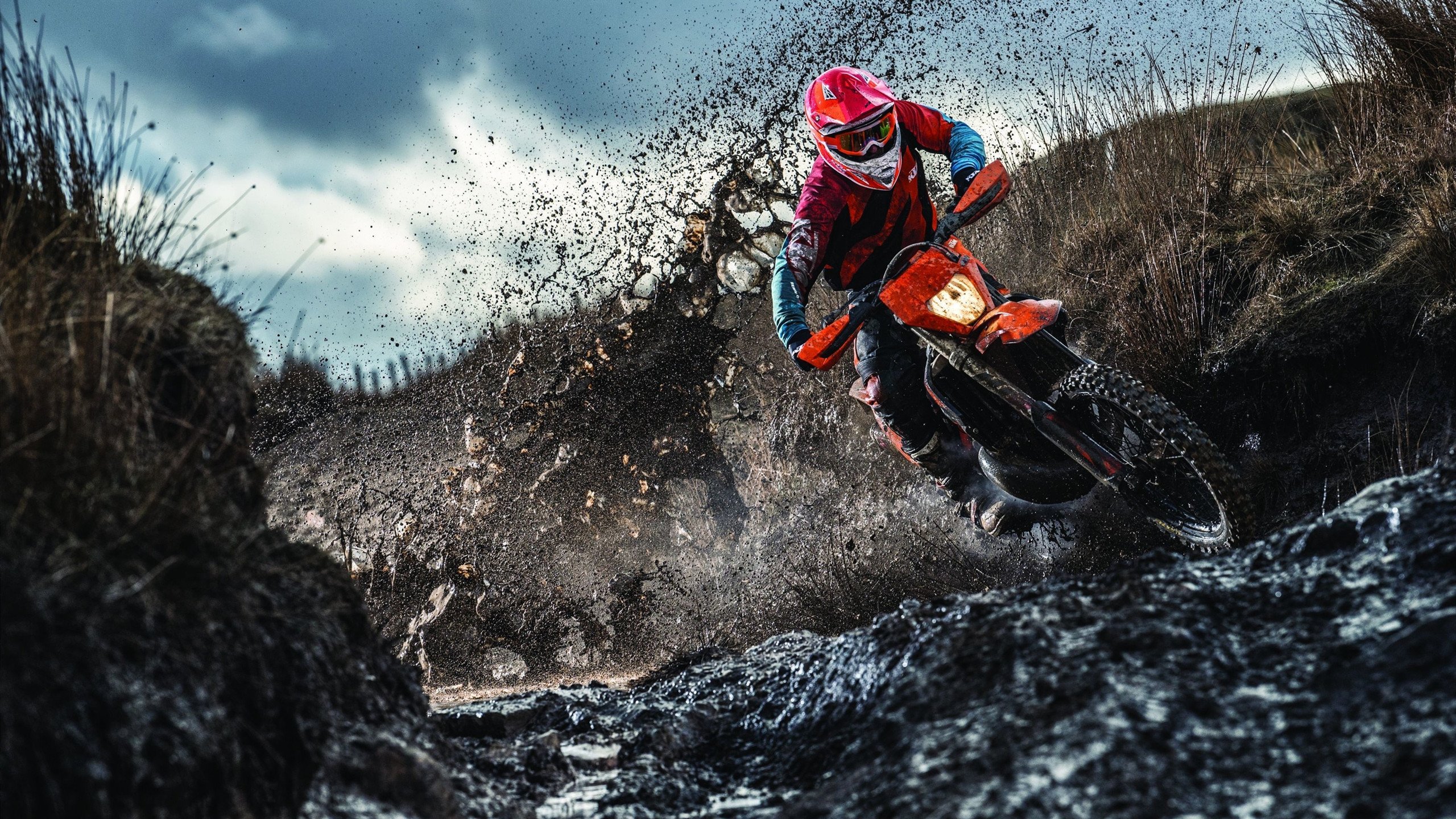 南非羚羊队的突破技巧：每一次突破都像打破防线的利刃，南非大羚羊主要分布哪里